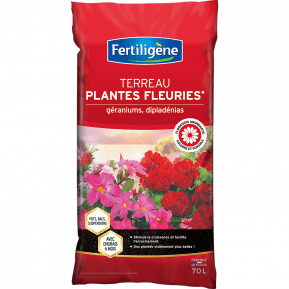 Fertiligène terreau plantes fleuries et géraniums  main image