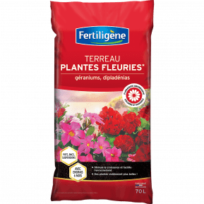 Fertiligène terreau plantes fleuries et géraniums main image