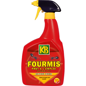 KB fourmis prêt à l'emploi main image