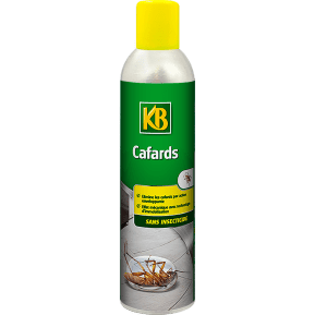 KB cafards aérosol sans insecticide, 300ML