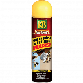 KB Home Defense® Mousse nids de guêpes & frelons main image