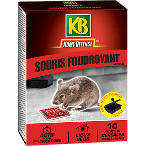 KB HOME DEFENSE HDGLUE2 - Pièges à Glu pour Rats et Souris x 2