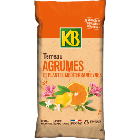 KB Terreau agrumes plantes méditerranéennes main image