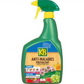 KB anti-maladies polyvalent prêt à l'emploi main image