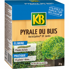 KB pyrale du buis main image