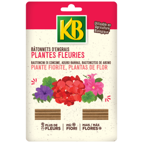 KB bâtonnets d'engrais plantes fleuries, géraniums main image