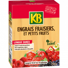 KB engrais fraisiers et petits fruits main image