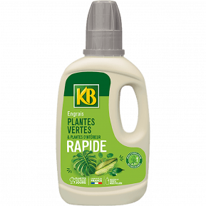 Engrais rapide plantes vertes et plantes d'intérieur, 1 L