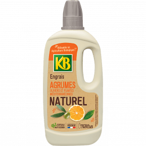 KB engrais naturel agrumes, oliviers et plantes méditerranéennes main image
