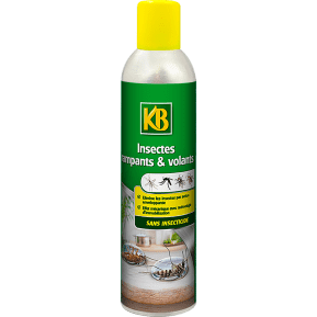 KB Rampants et volants sans insecticide aérosol main image