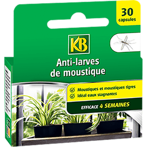 KB Anti-larves de moustiques  main image
