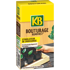 KB bouturage main image