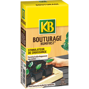 KB bouturage  main image