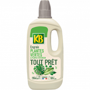 KB engrais tout prêt plantes vertes et plantes d'intérieur, 1L