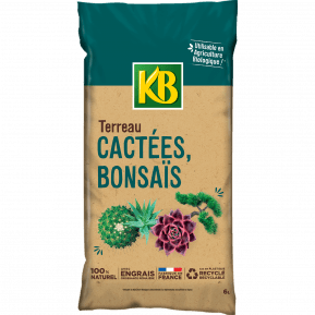 KB terreau cactées bonsaïs et plantes grasses main image