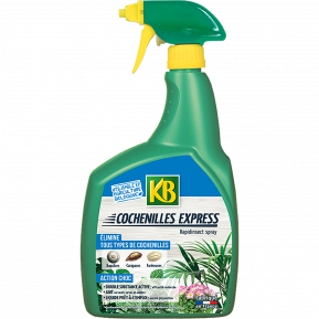 KB insecticide cochenille express prêt à l'emploi main image