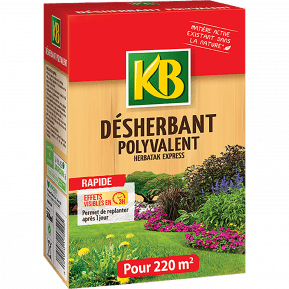 KB Désherbant polyvalent concentré main image