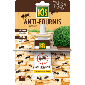 KB fourmis tubes main image