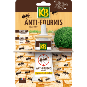 KB FOUPAL8N2 - Pulvérisateur Anti-Fourmis Prêt à l'Emploi 800 ml - Elimine  radicalement et durablement fourmilières et fourmis noires - Produit 2 en