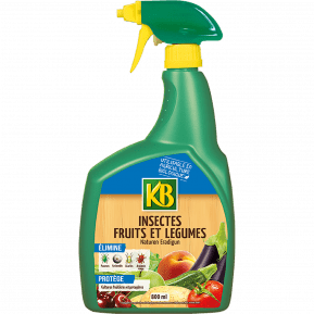 KB insectes fruits et légumes prêt à l'emploi main image