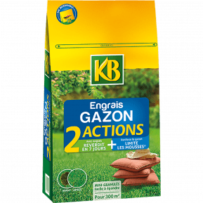 KB engrais gazon 2 actions main image