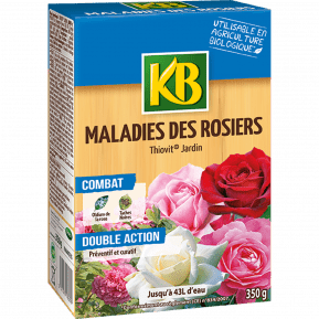 KB maladies des rosiers main image