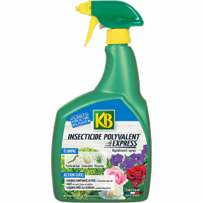 KB Insecticide ultra polyvalent prêt à l'emploi main image