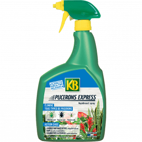 KB insecticide pucerons express prêt à l'emploi main image