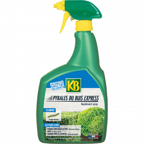 KB insecticide pyrales du buis express prêt à l'emploi main image
