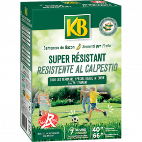 KB semences gazon ultra résistant main image