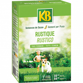 KB semences gazon rustique main image