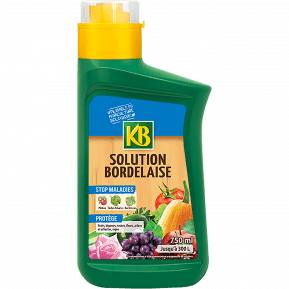 KB solution bordelaise concentrée main image