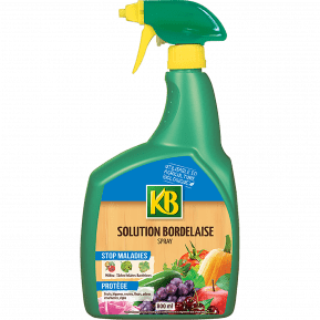 KB solution bordelaise  main image