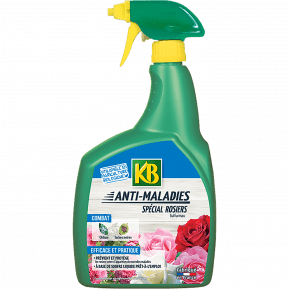 KB anti maladies spécial rosiers main image