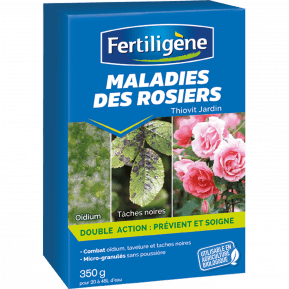 Fertiligène maladies des rosiers main image