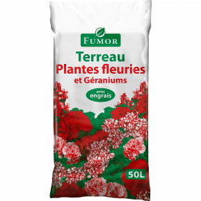 Terreau plantes fleuries et géraniums main image