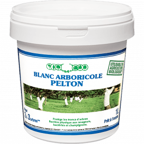 Pelton blanc arboricole main image