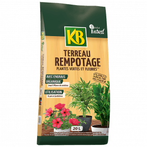 Terreau - Plantes vertes et fleuries