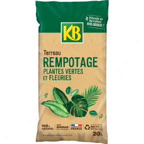 LA PLAINE CHASSART Terreau Rempotage 20L Solution Spécifique pour