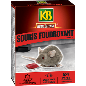 KB Home Defense® Souris foudroyant pâtes main image