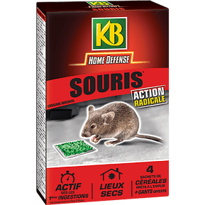 KB Home Defense® Souris céréales main image