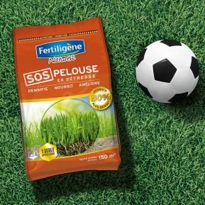 Fertiligène S.O.S pelouse en détresse image 2