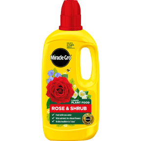 Miracle-Gro® Liquid Plant Food - Rose & Shrub main image