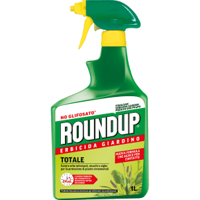 ROUNDUP PEnPO main image