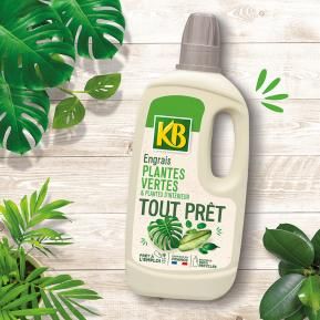 Lot de 3 engrais tout prêt plantes vertes et plantes d'intérieur KB - 1L -  Espace Bricolage