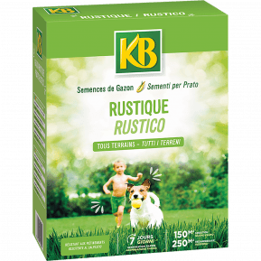 Semences gazon rustique main image