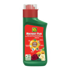 Multisect Plus main image