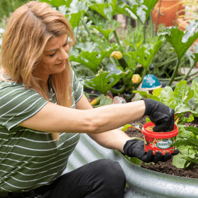 Scotts Osmocote® Controlled Release Fertiliser: Tomato, Vegetable & Herb image 5