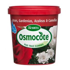 Scotts Osmocote® Controlled Release Fertiliser: Roses, Gardenias, Azaleas & Camellias  main image