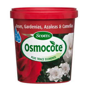 Scotts Osmocote® Controlled Release Fertiliser: Roses, Gardenias, Azaleas & Camellias main image
